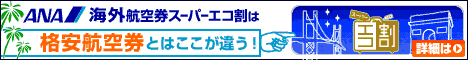 全日本空輸「エコ割」